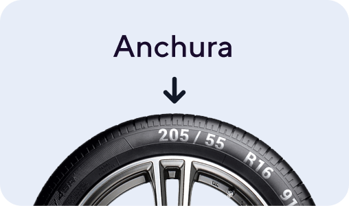 Ancho